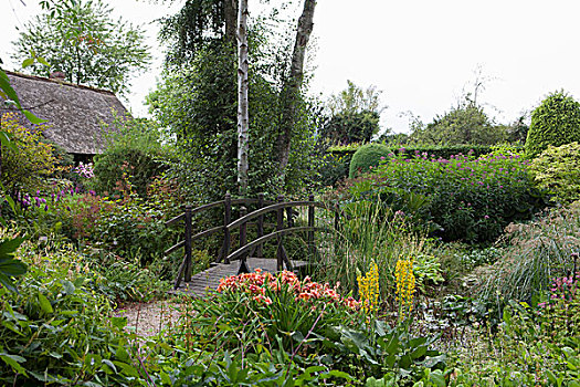 小,木桥,栏杆,花,多年生植物,观叶植物,夏天,花园