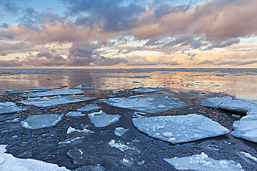 冬天,海洋,海边风景,大,漂浮,冰,碎片,安静,寒冷,水,海湾,芬兰,俄罗斯