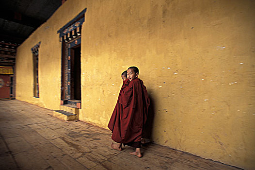 不丹,普那卡,节日,新信徒,僧侣