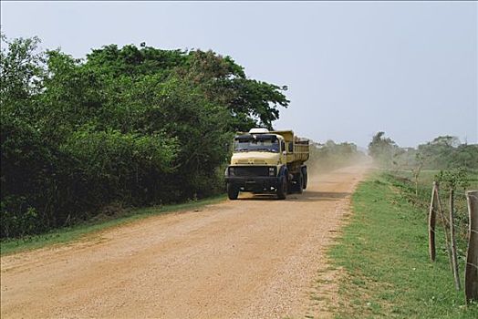 卡车,潘塔纳尔,世界遗产,生物保护区,巴西