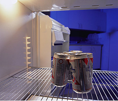 罐,啤酒,电冰箱