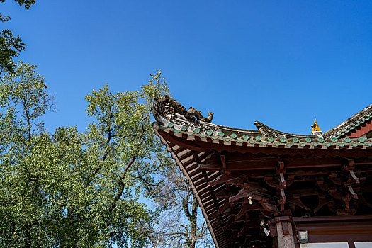 羊城广州千年古刹光孝寺