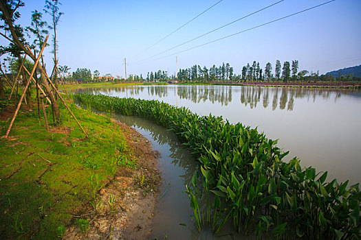 草地,道路,花木,绿色