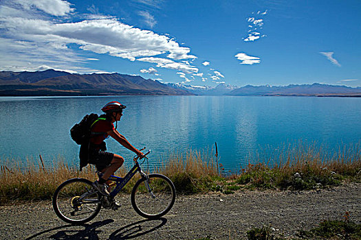 新西兰,南岛,坎特伯雷,麦肯齐山区,骑车,阿尔卑斯山,海洋,自行车,小路,旁侧,普卡基湖