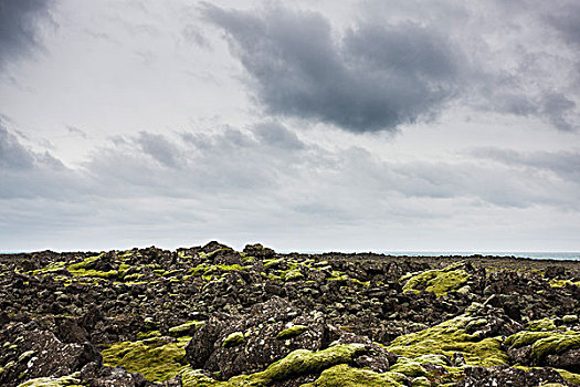 火山岩,地点,遮盖,苔藓,冰岛