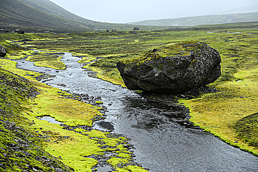 冰岛,溪流,苔藓,大,漂石,下雨,绿色,雪,残留