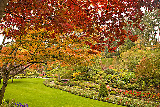 秋色,布查特花园,国家,古迹,加拿大,维多利亚,不列颠哥伦比亚省