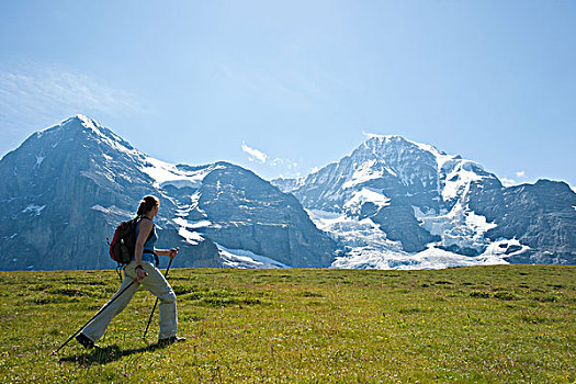 女人,远足,拐棍,伯恩高地,瑞士