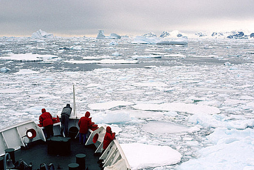 南极半岛,区域,社会,探索者