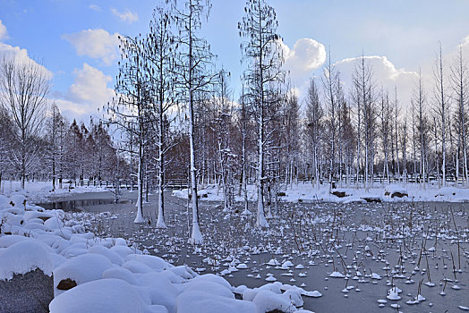 雪景