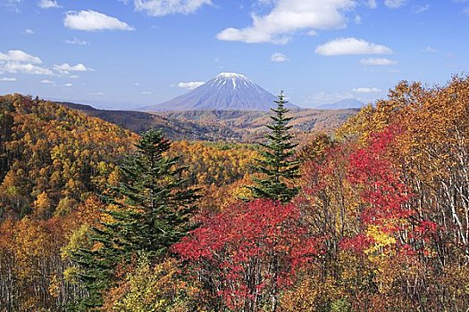 秋叶,山