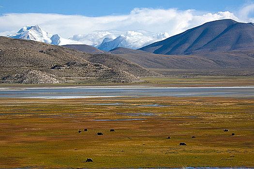 西藏日喀则,吉隆