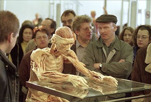 曼海姆,第一,身体,展示,德国,联邦,博物馆,科技,工作
