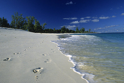 岛屿,鸟岛,海浪,白色背景,沙滩,脚印