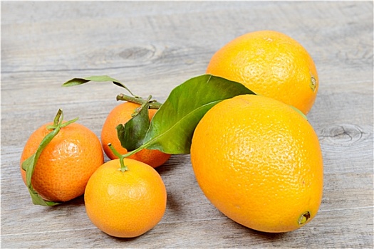 柑橘,橘子