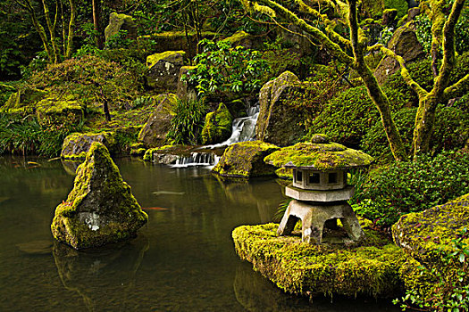 塔,石头,苔藓,遮盖,水塘,波特兰,日式庭园,俄勒冈,美国