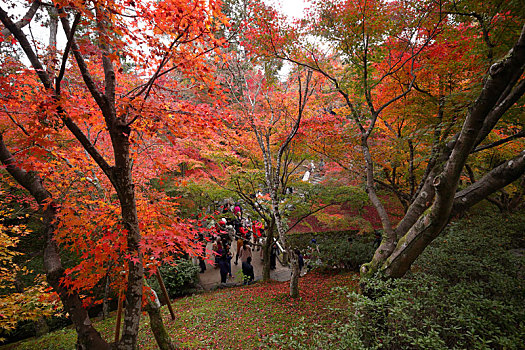 日本京都东福寺