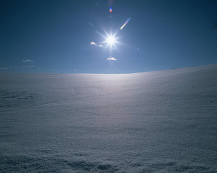 雪原,太阳