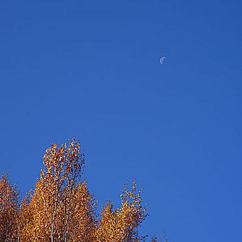 根河湿地