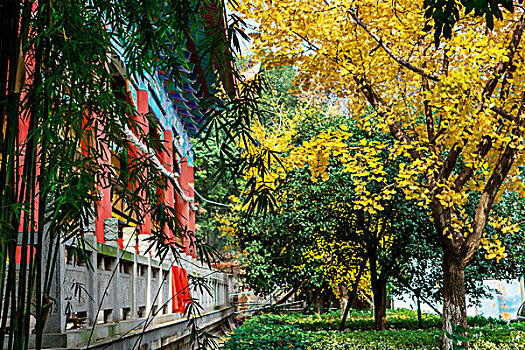 湖南长沙古开福寺－佛殿,钟鼓楼,古银杏,佛塔