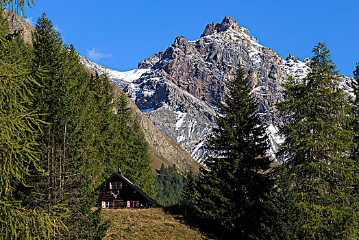 瑞士国家公园,背景,瓦尔特普伦,恩加丁,瑞士,欧洲
