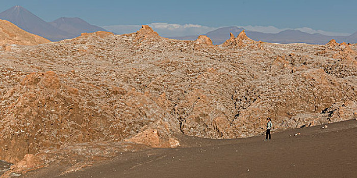 女人,荒芜,佩特罗,阿塔卡马沙漠,省,安托法加斯塔大区,智利