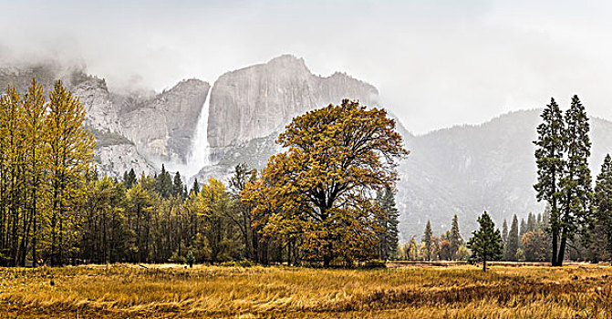 风景,远景,模糊,瀑布,优胜美地国家公园,加利福尼亚,美国