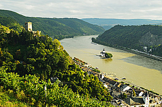城堡,高处,莱茵河,莱茵兰普法尔茨州,德国