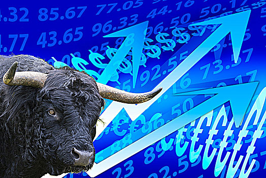 牛市,象征,上升,价格,股票市场,箭头,钱,证券交易