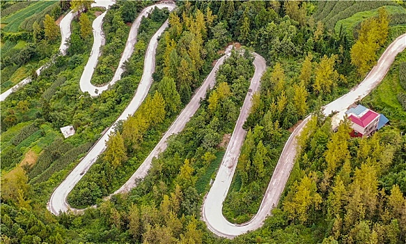 重庆酉阳,乡村公路秋意浓