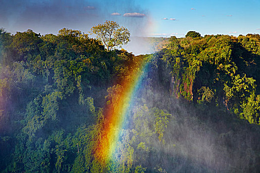 彩虹,上方,维多利亚瀑布,赞比西河,非洲