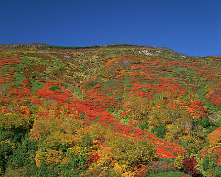 山,秋天