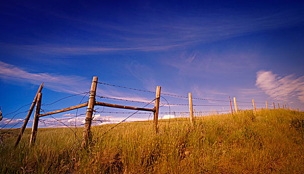 乡村风光,刺铁丝网,围栏