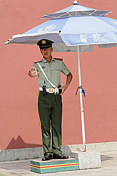 中国,警察,故宫,北京