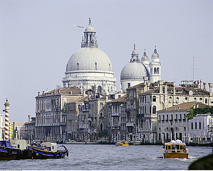 教堂,大运河,威尼斯,意大利