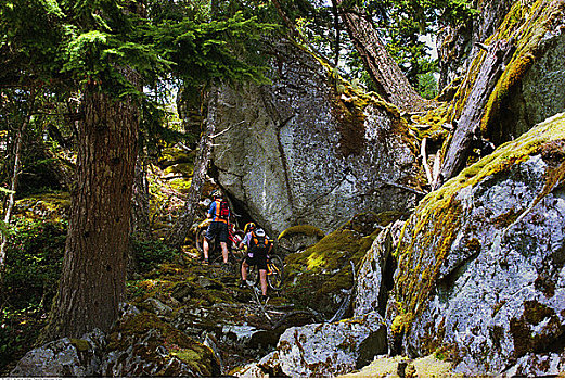 伴侣,骑自行车,落基山脉,不列颠哥伦比亚省,加拿大