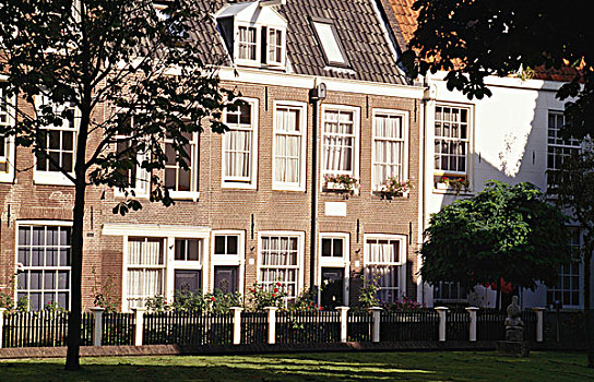 独栋别墅,排列,阿姆斯特丹,荷兰