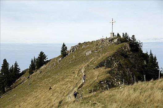 顶峰,山,阿尔卑斯山,上巴伐利亚,德国