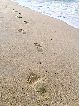 沙滩上的一行脚印