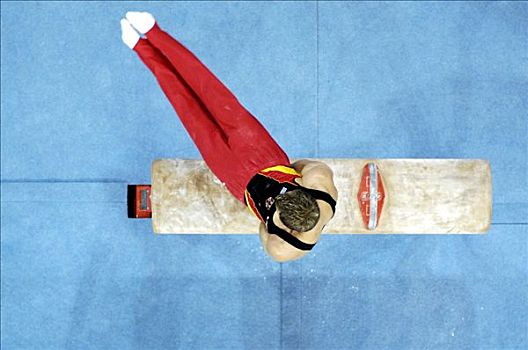 德国,体操,世界杯,斯图加特,2006年,前鞍
