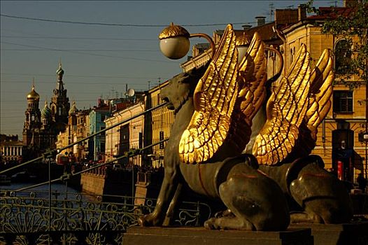 狮子,金色,翼,圣彼得堡,俄罗斯,东欧