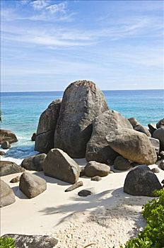 海滩,靠近,远景,特色,花冈岩,塞锡尔群岛,缓坡,马埃岛,塞舌尔,印度洋,非洲