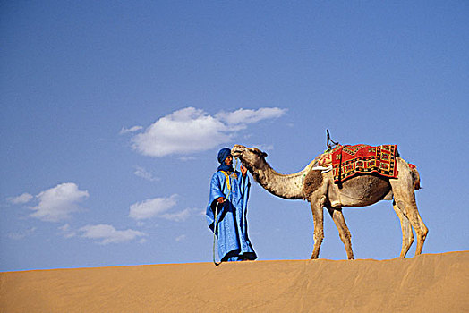 非洲,摩洛哥,靠近,扎古拉棉,男人,传统服饰,骆驼