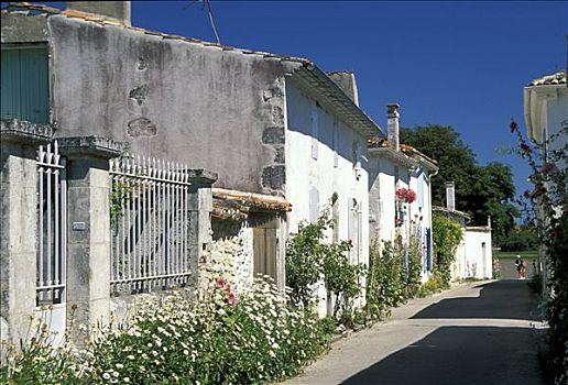 法国,房子,小巷