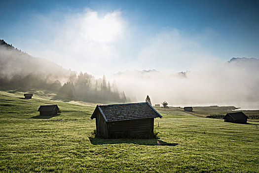 日出,晨雾,草地,靠近,米滕瓦尔德,陆地,上巴伐利亚,巴伐利亚,德国,欧洲