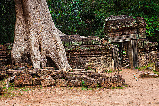 古迹,塔普伦寺,庙宇,吴哥,收获,柬埔寨