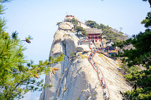 华山春日盛景