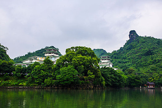 桂湖风光