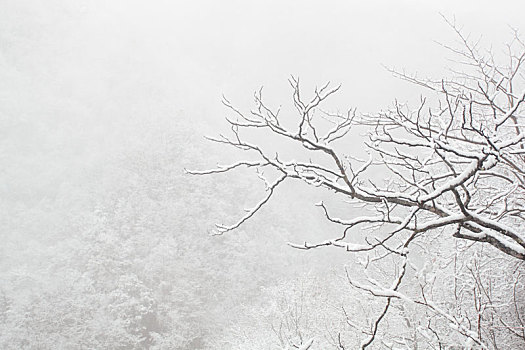 陕西秦岭黄花岭雪景