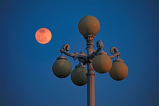 城市路灯与满月